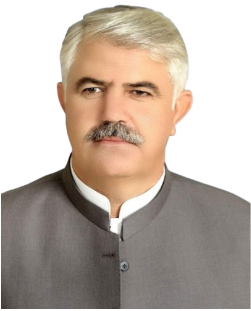 Official portrait of [Name], Chairman of Pakistan Tehreek-e-Insaf Parliamentarians (PTI-P)