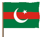 Flag of Pakistan Tehreek-e-Insaf Parliamentarians (PTI-P) - Green and red with white crescent and star